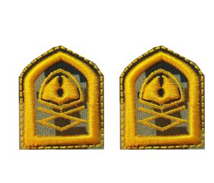 رسته عقیدتی سیاسی پفکی(دیجیتال سبز)