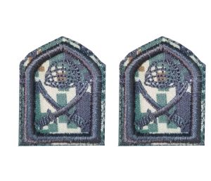 رسته پیاده پفکی(دیجیتال سبز)