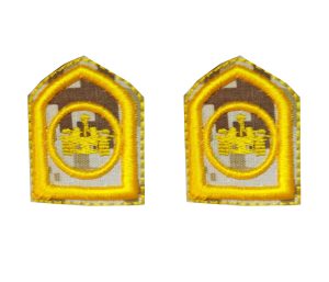 رسته زرهی پفکی(دیجیتال خاکی)