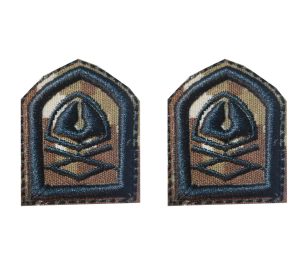 رسته عقیدتی سیاسی پفکی(دیجیتال خاکی)