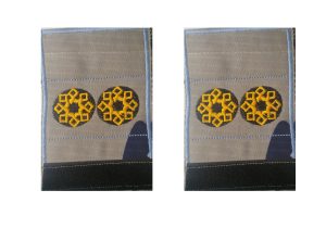 درجه  ستوان دوم دریابانی (انتظامی)
